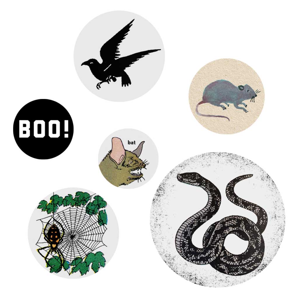 Creepy Critters