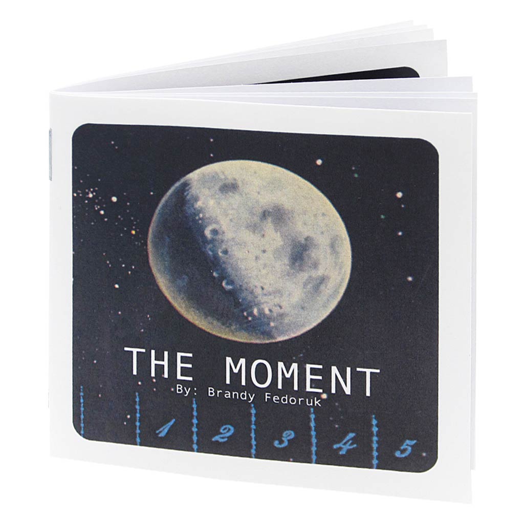 The Moment is a story about friendship, misunderstanding and regret. The Moment follows a cast of characters through time and space from the very beginning of time until the very end. Have your handkerchief at the ready because this book is a real tearjerker.