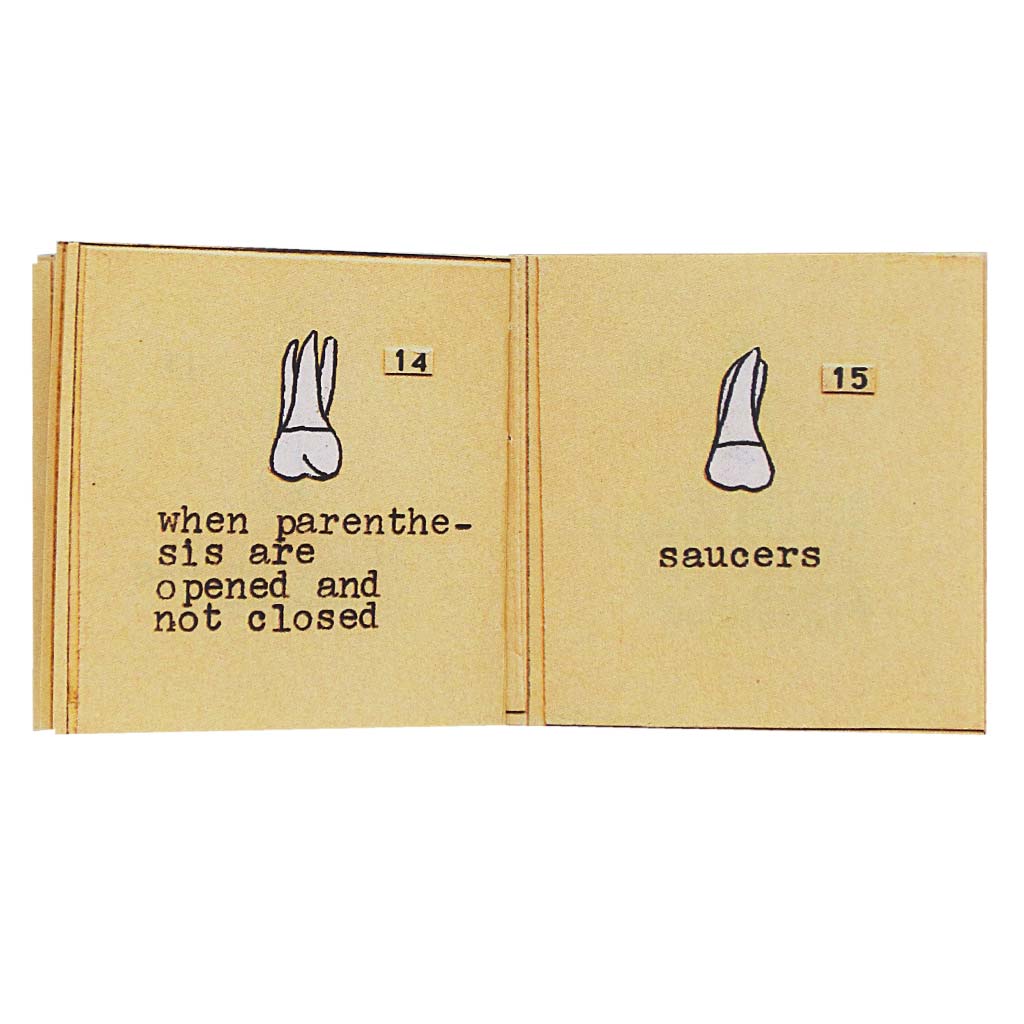 the things they hated is the first miniscule book in a trilogy of books about teeth. It examines the particular taste of each tooth and categorizes them accordingly. Other books in this series include: the things they loved and the things they were sorry about. Collect all three.